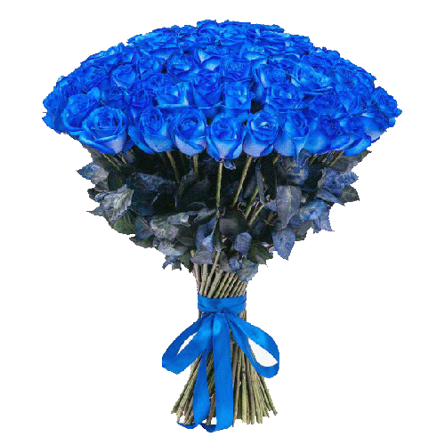 Фото товара 101 синяя роза (крашеная) в Кривом Роге