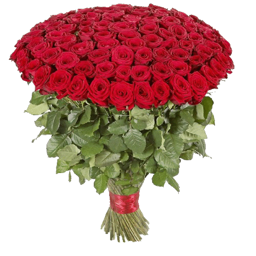 фото товара 101 червона троянда | «Криврог Роза»