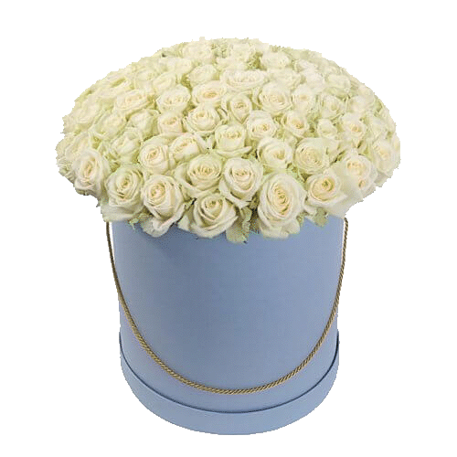 Фото товара 101 белая роза в шляпной коробочке в Кривом Роге