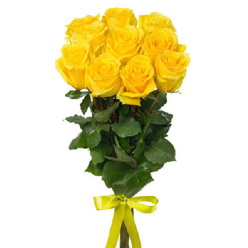Фото товара 11 желтых роз в Кривом Роге