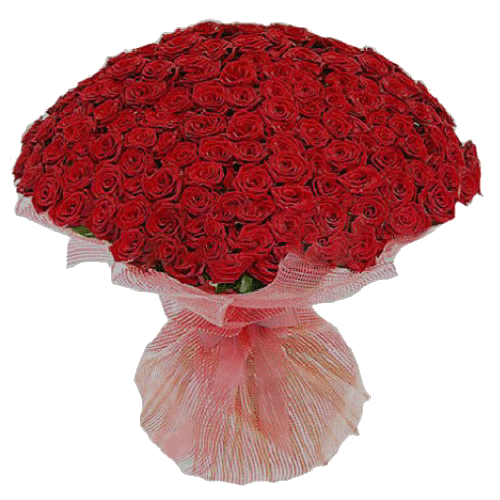 Фото товара 201 красная роза в Кривом Роге
