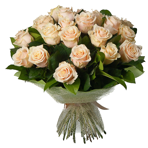 Фото товара 21 кремовая роза в Кривом Роге