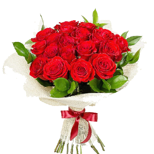 Фото товара 21 красная роза в упаковке в Кривом Роге