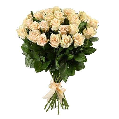 Фото товара 25 кремовых роз в Кривом Роге
