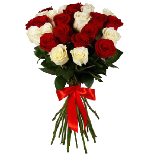 Фото товара 25 красно-белых роз в Кривом Роге