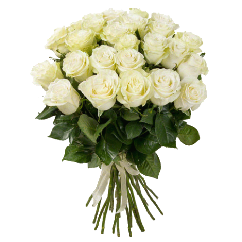 Фото товара 25 белых роз в Кривом Роге
