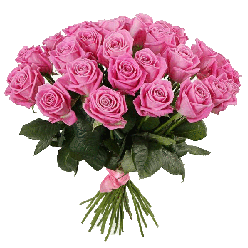 Фото товара 33 розы "Аква" в Кривом Роге