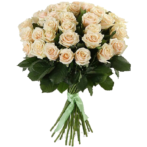 Фото товара 33 кремовые розы в Кривом Роге