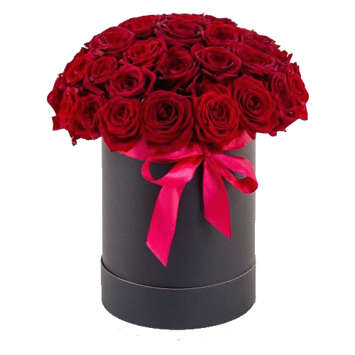 Фото товара 33 красные розы в шляпной коробочке в Кривом Роге