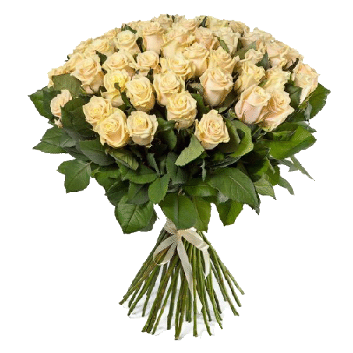Фото товара 51 кремовая роза в Кривом Роге