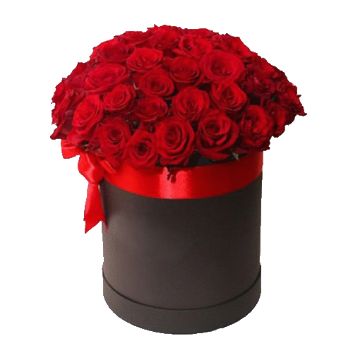 Фото товара 51 красная роза в шляпной коробочке в Кривом Роге