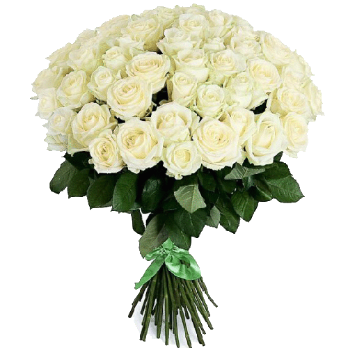 Фото товара 51 белая роза в Кривом Роге