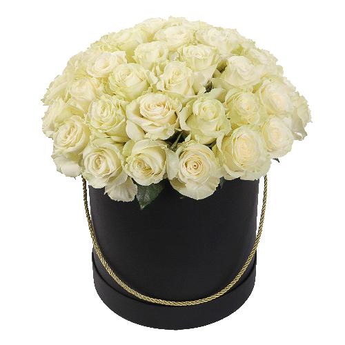 Фото товара 51 белая роза в шляпной коробочке в Кривом Роге