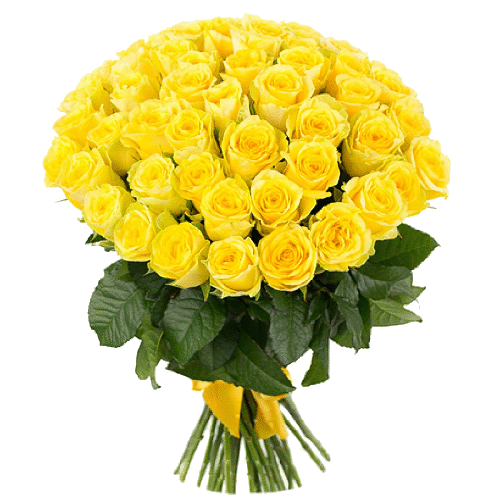 Фото товара 51 желтая роза в Кривом Роге