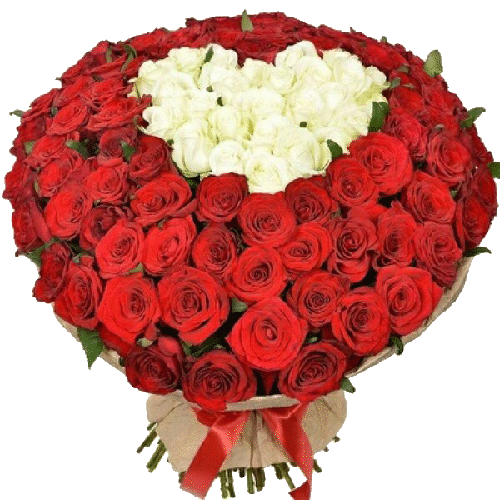 Фото товара 101 роза сердцем - белая и красная в Кривом Роге