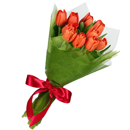 Фото товара 11 красных тюльпанов в Кривом Роге
