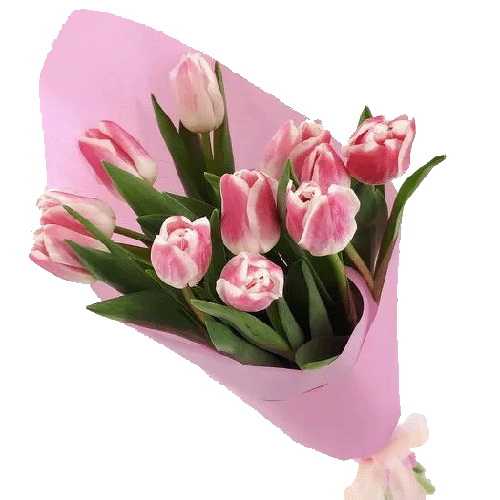 Фото товара 11 рожевих тюльпанів в Кривом Роге