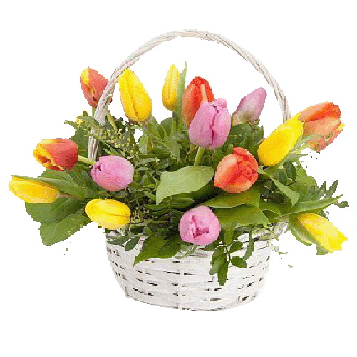 Фото товара 15 тюльпанів у кошику в Кривом Роге
