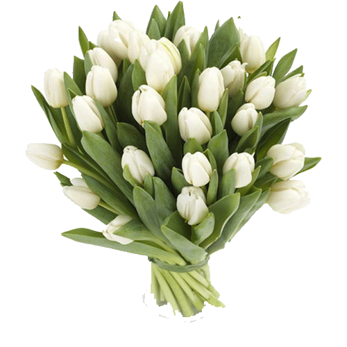 Фото товара 25 белых тюльпанов в Кривом Роге