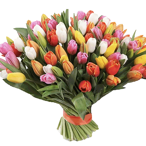 Фото товара 101 разноцветный тюльпан в Кривом Роге
