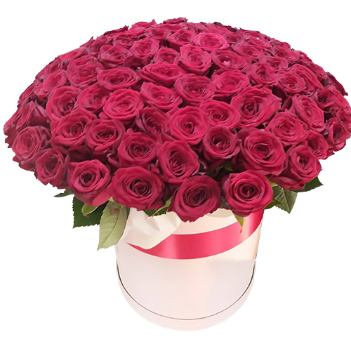 Фото товара 101 красная роза в шляпной коробочке в Кривом Роге