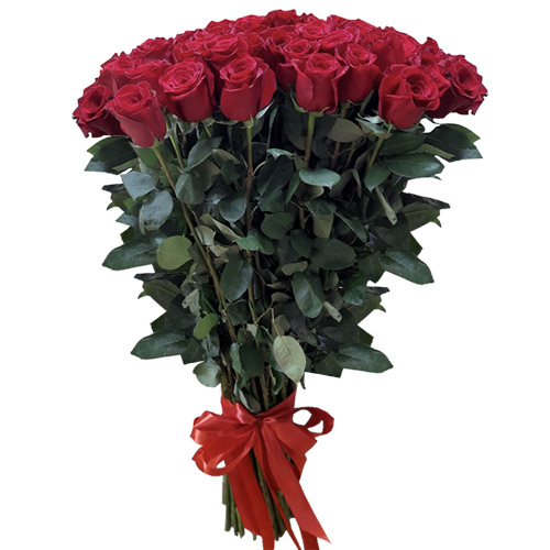 Фото товара 51 троянда "Фрідом" метрова в Кривом Роге