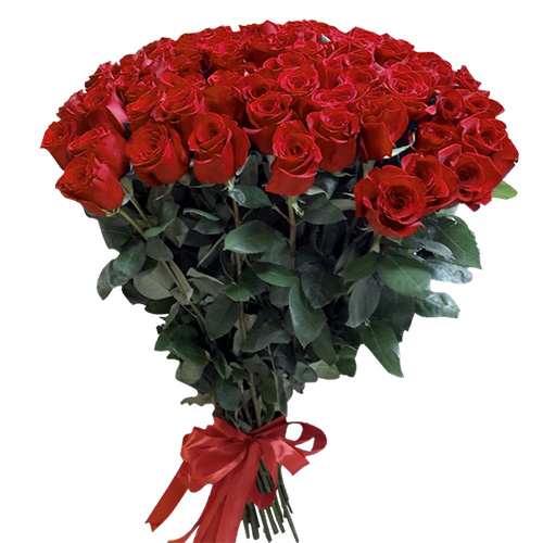 Фото товара 101 троянда "Фрідом" метрова в Кривом Роге
