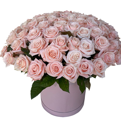 Фото товара 101 рожева троянда в коробці в Кривом Роге