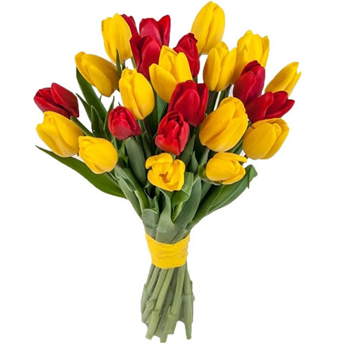 Фото товара 15 червоно-жовтих тюльпанів (зі стрічкою) в Кривом Роге