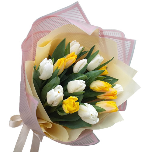 Фото товара 15 біло-жовтих тюльпанів в Кривом Роге