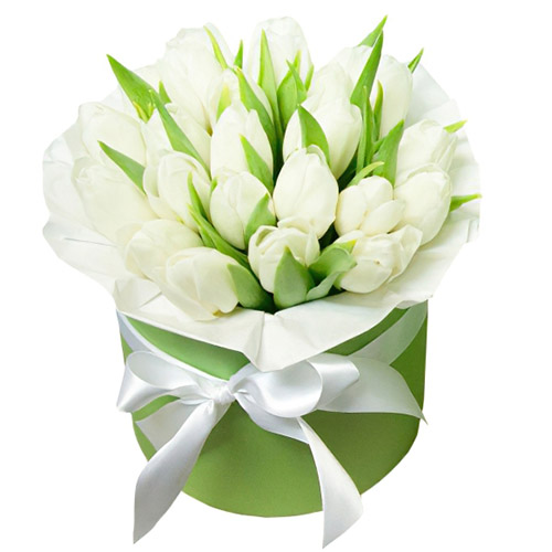 Фото товара 21 белый тюльпан в коробке в Кривом Роге