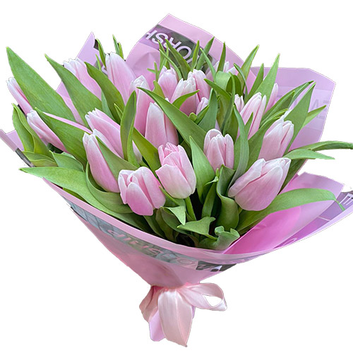 Фото товара 21 ніжно-рожевий тюльпан в Кривом Роге
