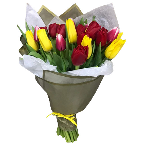 Фото товара 21 красно-жёлтый тюльпан в двойной упаковке в Кривом Роге