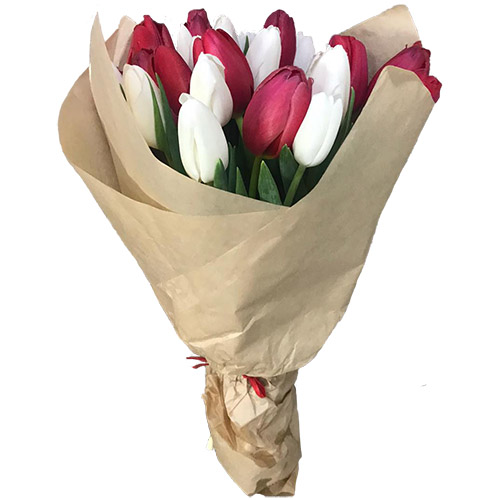 Фото товара 21 червоно-білий тюльпан у крафт в Кривом Роге