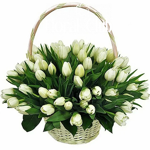 Фото товара "Цукрова вата" 51 білий тюльпан у кошику в Кривом Роге