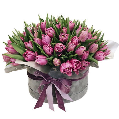 Фото товара 101 пурпурный тюльпан в коробке в Кривом Роге