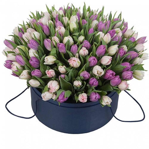 Фото товара 201 тюльпан (два цвета) в коробке в Кривом Роге