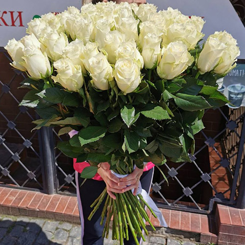 квіти та подарунки на 8 Березня в категорії 51 Троянда | «Криврог Роза»