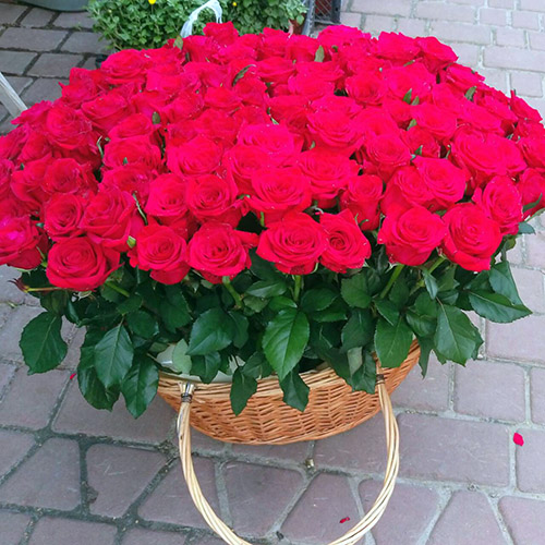 product category Flowers in baskets | Kryvyi Rih | «Криврог Роза»