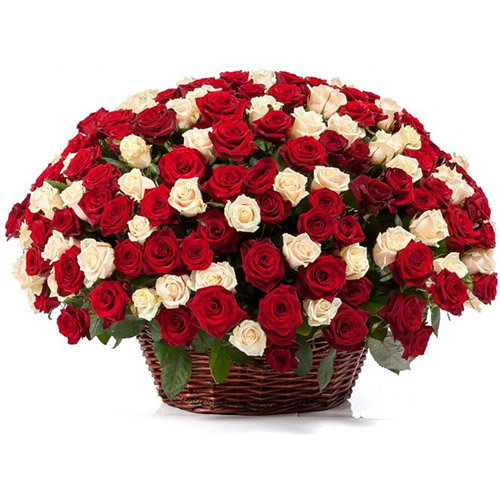Фото товара 101 троянда мікс в кошику в Кривом Роге