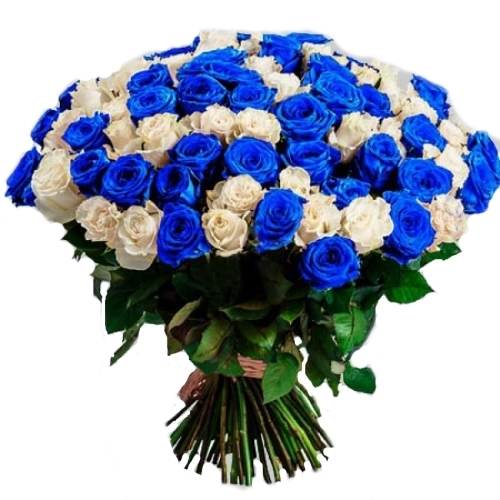 Фото товара 101 белая и синяя роза (крашеная) в Кривом Роге