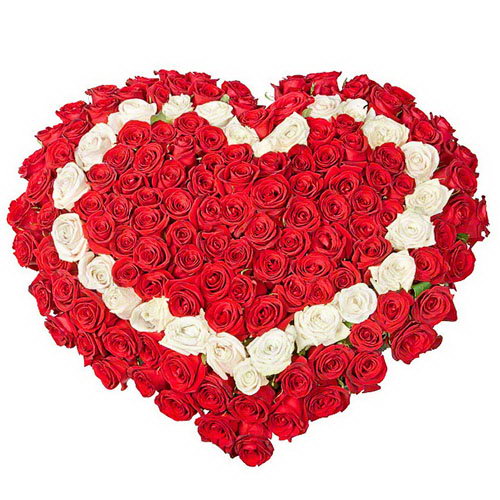 Фото товара 101 роза сердцем - три слоя в Кривом Роге