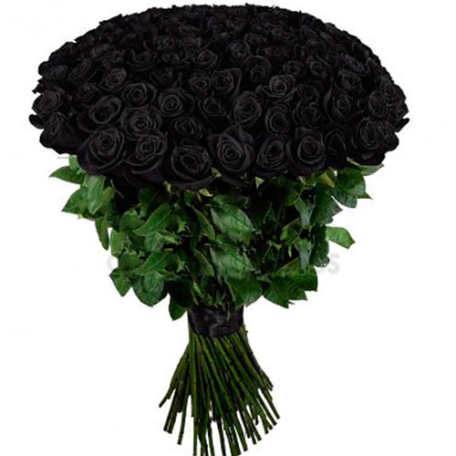 Фото товара 101 чёрная роза (крашеная) в Кривом Роге