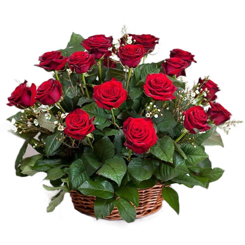 Фото товара 21 червона троянда в кошику в Кривом Роге