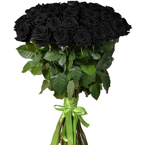 Фото товара 25 чёрных роз (крашеных) в Кривом Роге