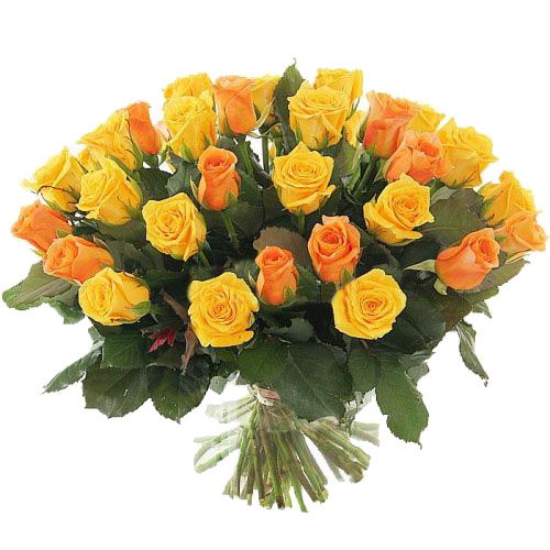 Фото товара 51 желтая и кремовая роза в Кривом Роге