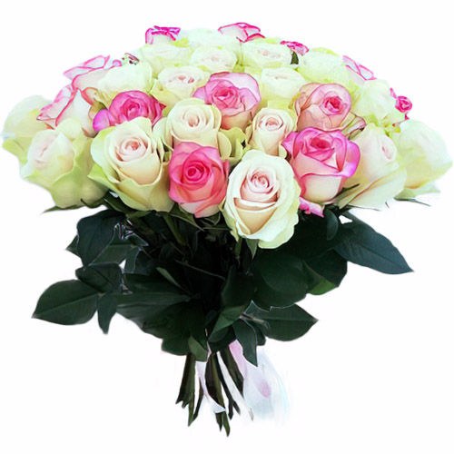 Фото товара 33 кремові та рожеві троянди в Кривом Роге