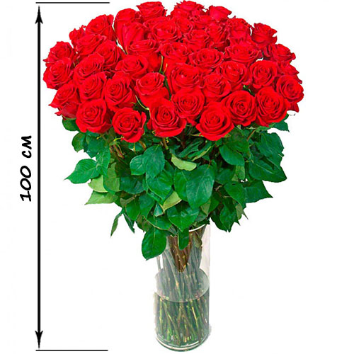 Фото товара 35 високих троянд (100 см) в Кривом Роге
