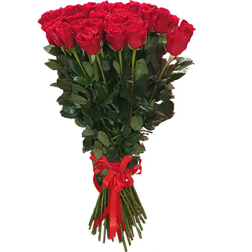 Фото товара 25 метровых роз "Фридом" в Кривом Роге