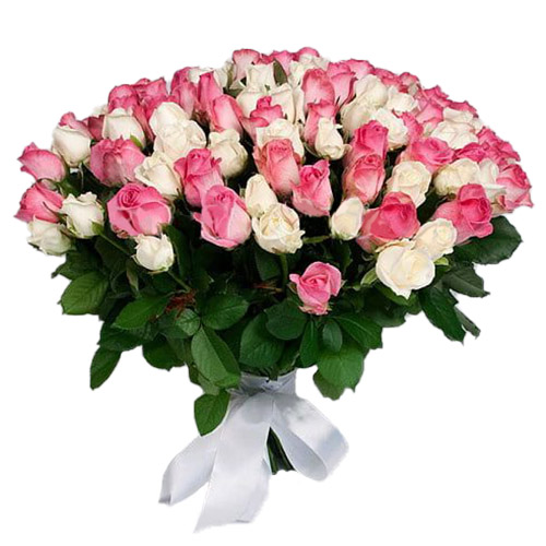 Фото товара 101 белая и розовая роза в Кривом Роге